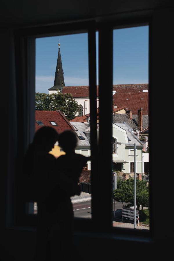 Marinka Apartment Litomysl